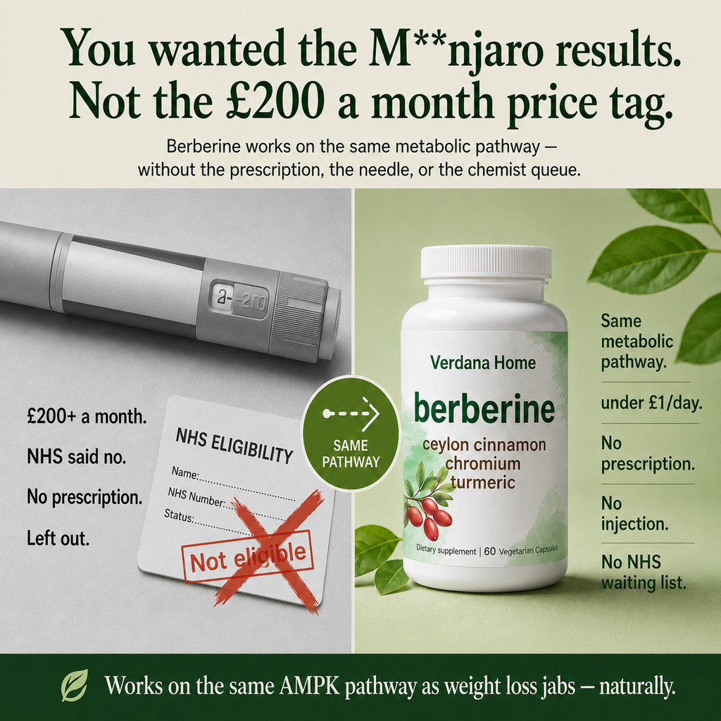Berberine Complex 4-in-1 - Craving & Food Noise Control