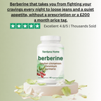 Berberine Complex 4-in-1 - Craving & Food Noise Control