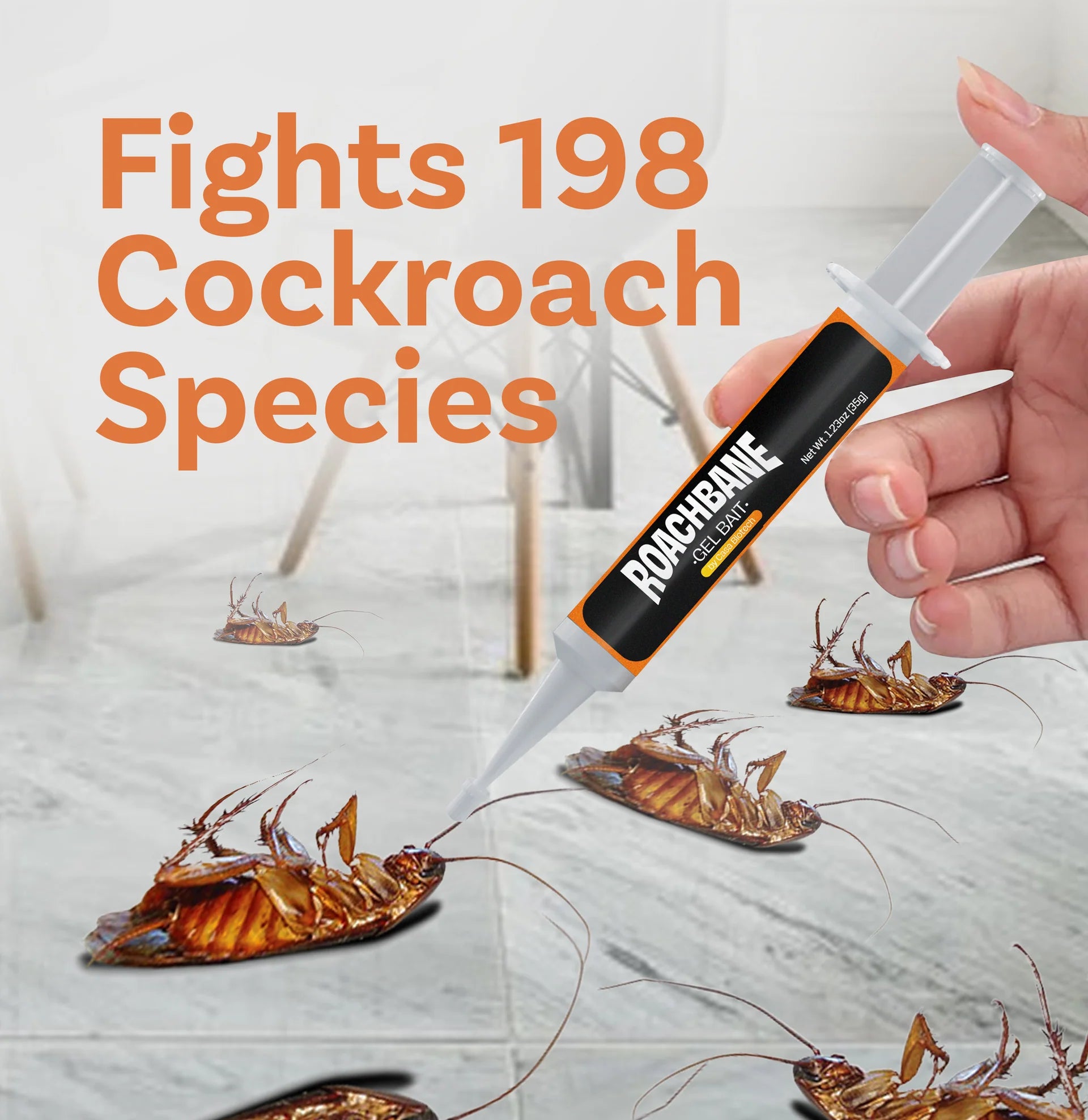 Verdana - Roach Gel Bait