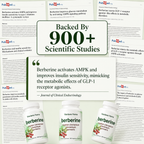 Berberine Complex 4-in-1 - Craving & Food Noise Control