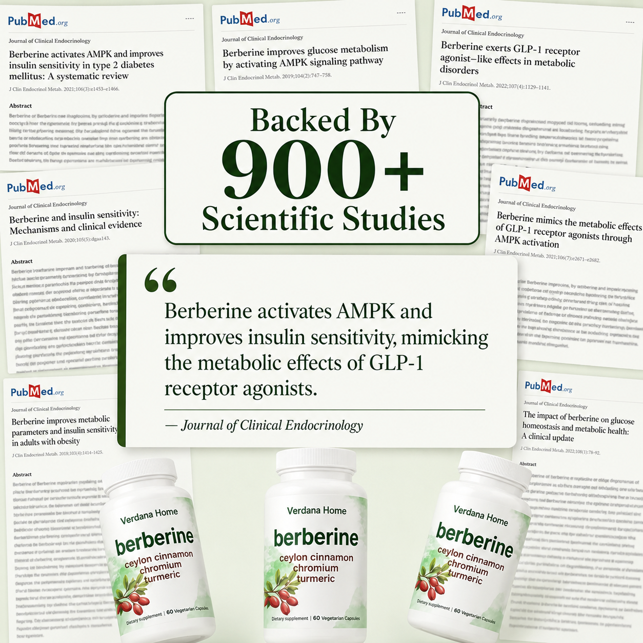 Berberine Complex 4-in-1 - Craving & Food Noise Control